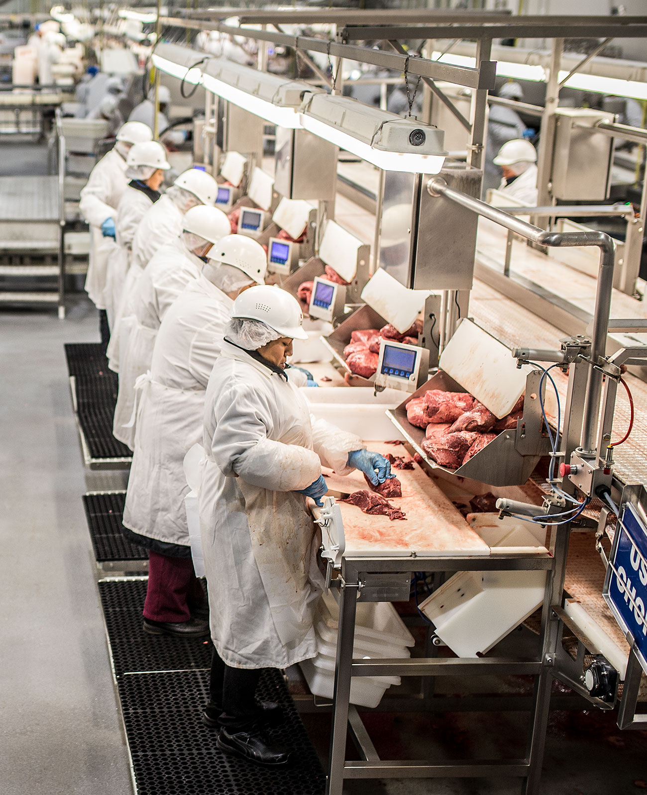 Industry Tailored Beef And Poultry Packaging Standard Meat